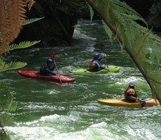 Okere Falls, Rotoiti