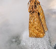 Te Puia, Rotorua