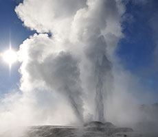Te Puia, Rotorua