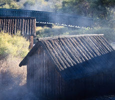 Whakarewarewa Rotorua Tour