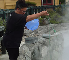 Whakarewarewa Rotorua Tour