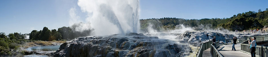 Te Puia Rotorua Tour